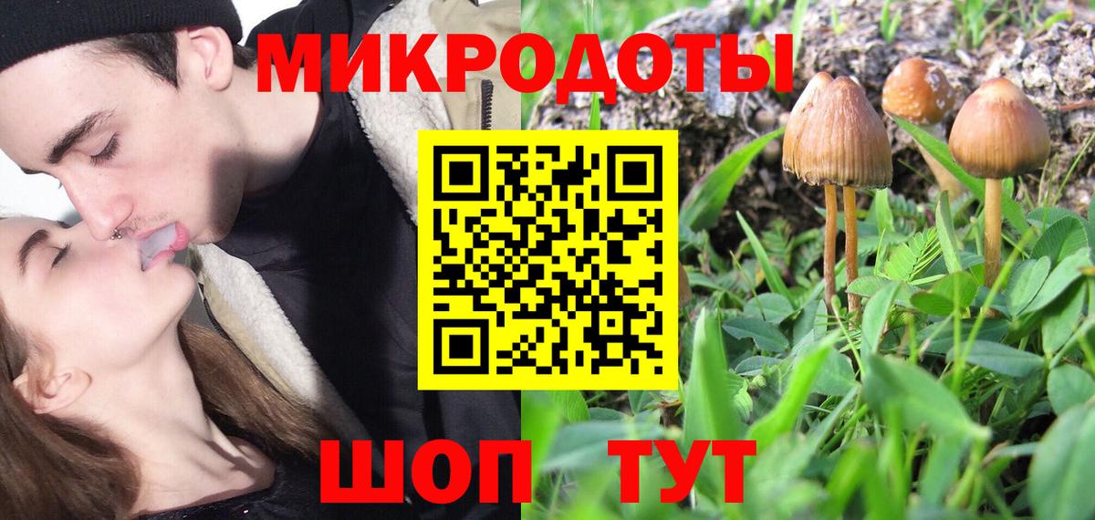 Великий Новгород  Галлюциногенные грибы Psilocybine cubensis  Вход с VPN  Галлюциногенные грибы Cubensis 
